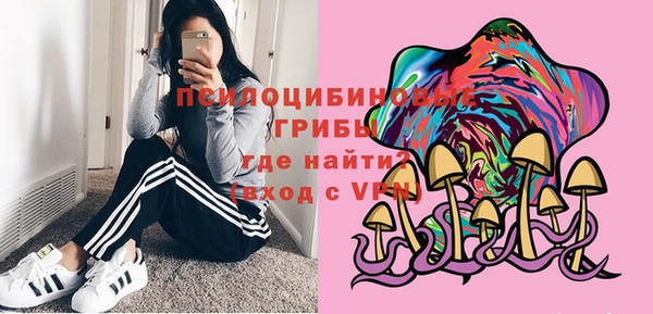 дмт Мегион