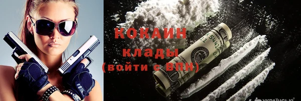 дмт Мегион