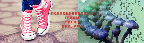 МДПВ Михайловка